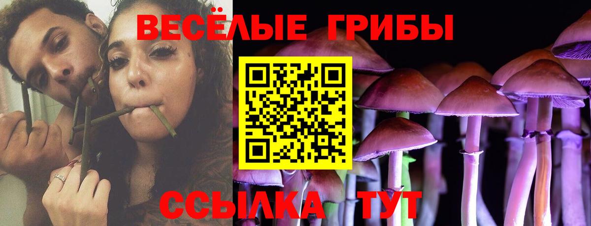Галлюциногенные грибы Cubensis  Вход с VPN  Старая Купавна  Псилоцибиновые грибы GOLDEN TEACHER 